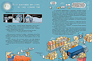 What is a human? Notes of a curious hamster