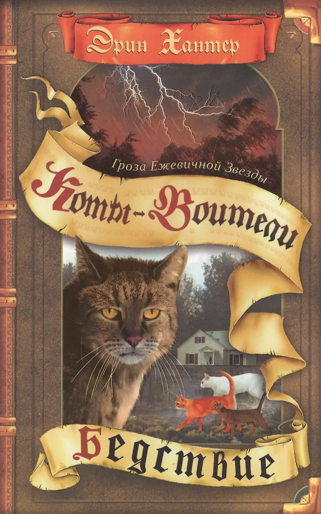 Der Sturm der Brombeer-Stern. Katastrophe