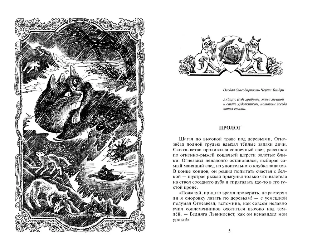 Der Sturm der Brombeer-Stern. Katastrophe