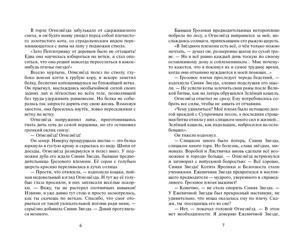 Der Sturm der Brombeer-Stern. Katastrophe