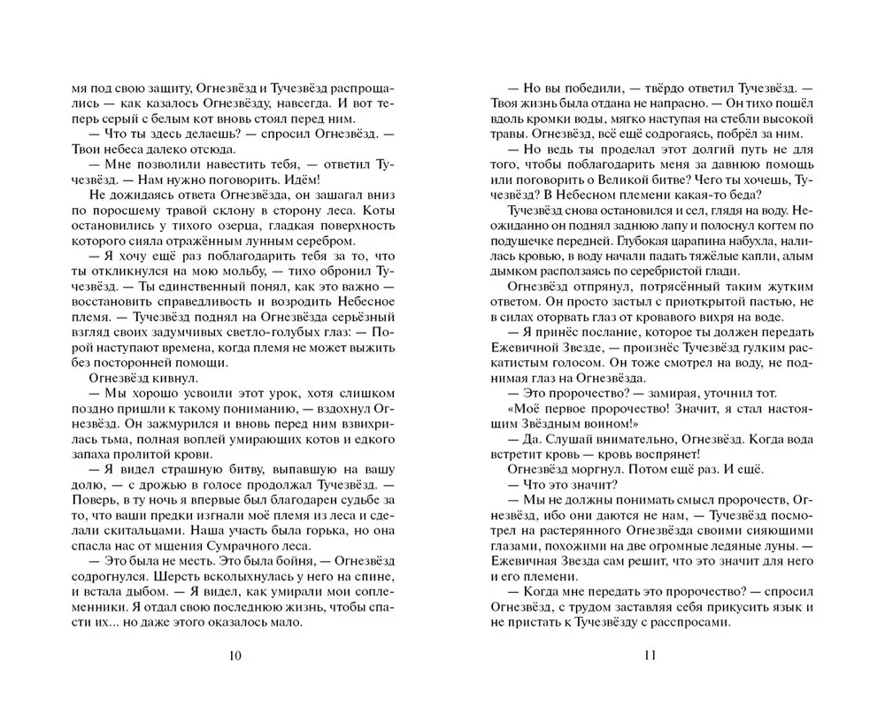 Der Sturm der Brombeer-Stern. Katastrophe