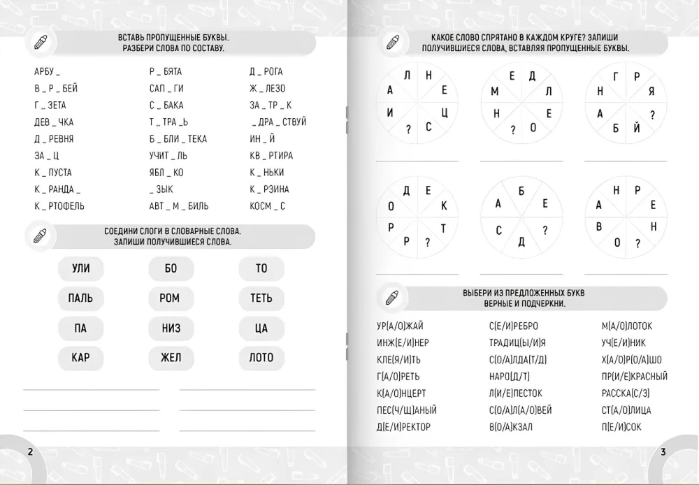Trainer. Vocabulary Words