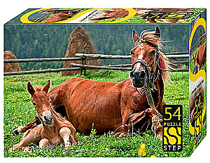 Puzzle 54 - Konie. Symbol roku, w asortymencie