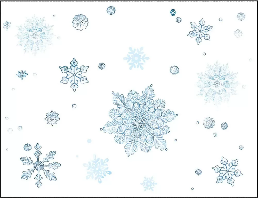 Kunstitava ümbrik väike - Lumelehed valgel