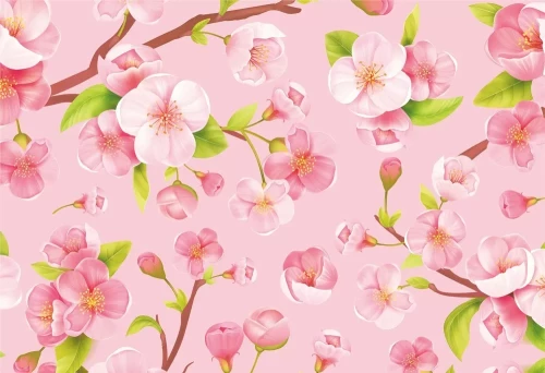 Meno vokas vidutinio dydžio - Vyšnių