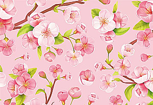 Meno vokas vidutinio dydžio - Vyšnių