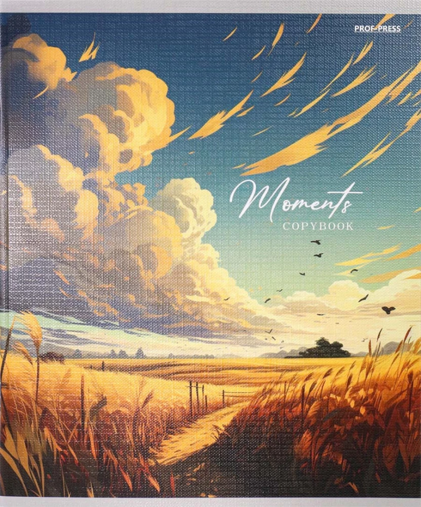 Тетрадь - Облачный пейзаж, 48 листов, клетка, в ассортименте