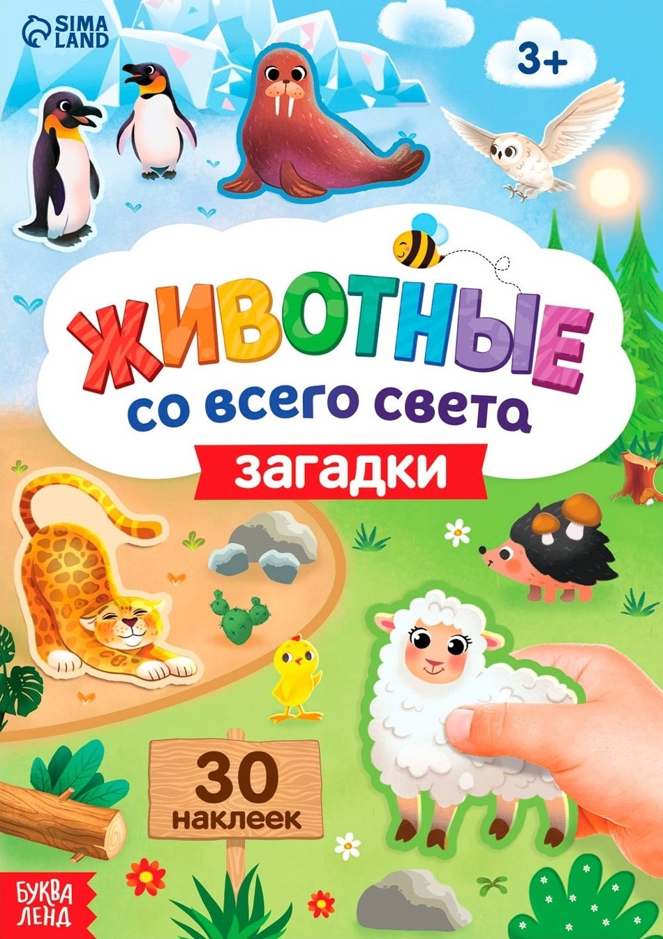 Zwierzęta z całego świata. Zagadki