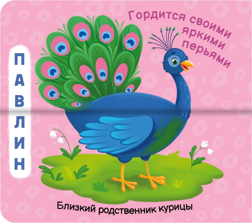 Funny Halves. This is the Zoo!