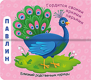 Funny Halves. This is the Zoo!