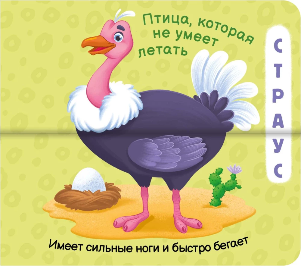 Funny Halves. This is the Zoo!