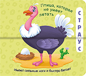 Funny Halves. This is the Zoo!