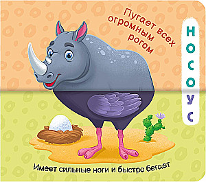 Funny Halves. This is the Zoo!