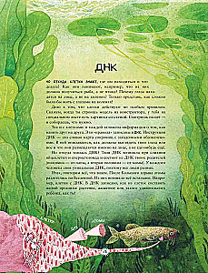 Mokslo kaleidoskopas