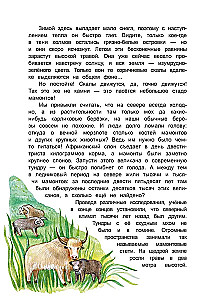 W poszukiwaniu tajemniczych ziem