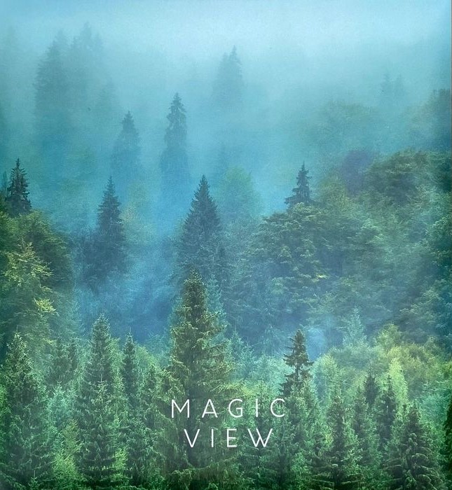 Fotoalbum mit 50 Magnetsheets - Nebel