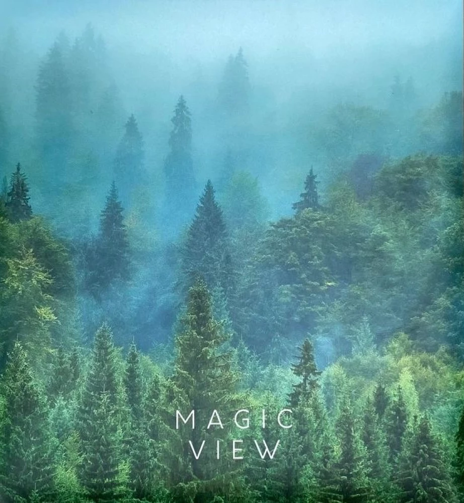 Album fotograficzny na 50 magnetycznych stron - Mgła