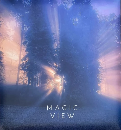 Album fotograficzny na 50 arkuszy magnetycznych - Błyskawica