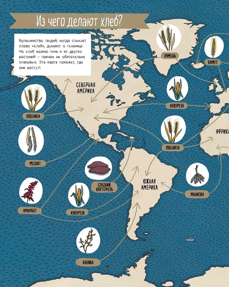 Bread. The Taste of the World