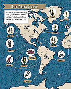 Bread. The Taste of the World