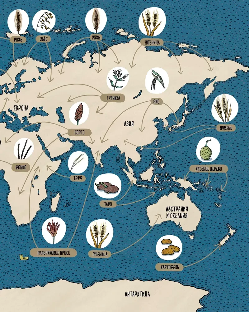 Bread. The Taste of the World