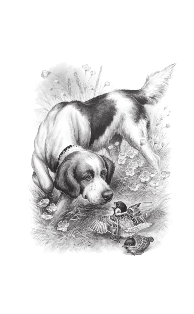 Russian Writers about Animals