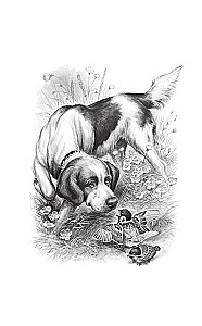 Russian Writers about Animals