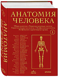 Анатомия человека. Эксклюзивное издание с 50-летней историей. Том 1