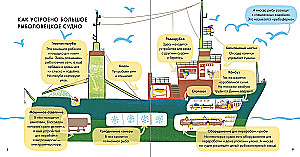 I Know What I Eat! Fish