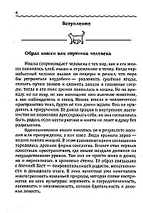 Kaķu terapija. Kā kaķi dziedina dvēseli un ķermeni