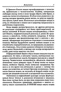 Kaķu terapija. Kā kaķi dziedina dvēseli un ķermeni