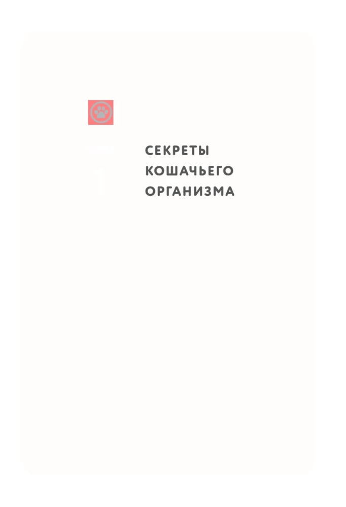 What Cats Want. A Japanese Bestseller on Raising Furry Babies