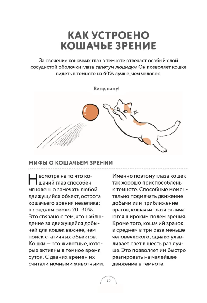 What Cats Want. A Japanese Bestseller on Raising Furry Babies