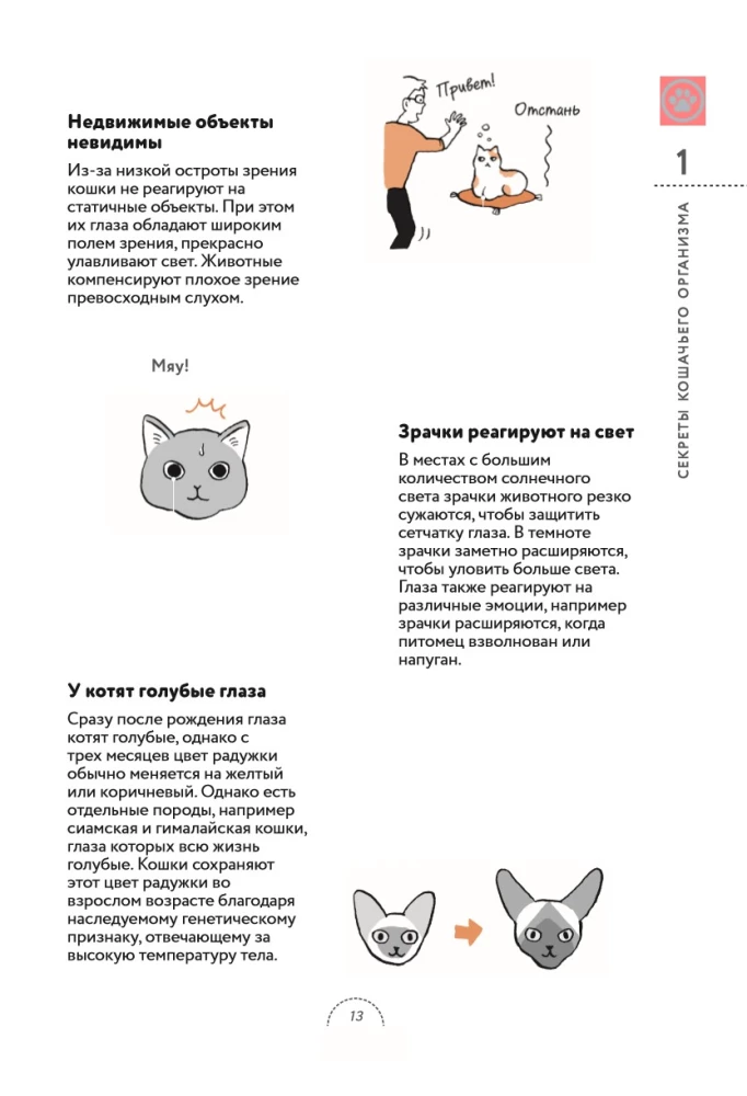 What Cats Want. A Japanese Bestseller on Raising Furry Babies