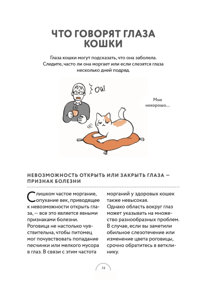 What Cats Want. A Japanese Bestseller on Raising Furry Babies