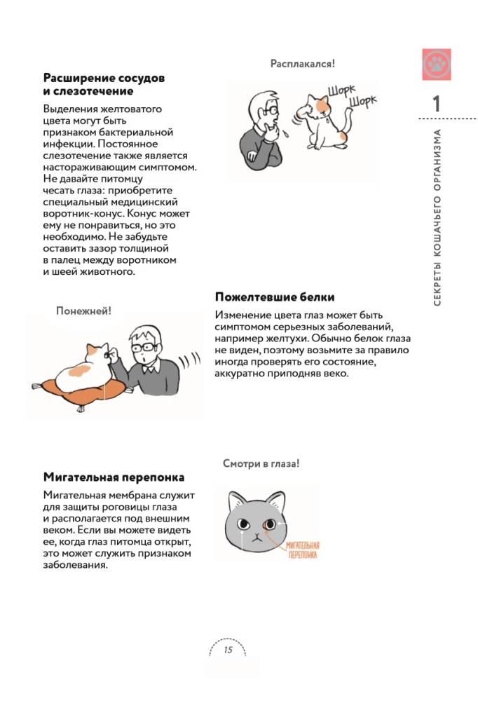 What Cats Want. A Japanese Bestseller on Raising Furry Babies