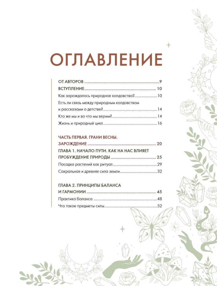 Shaman Tea: A Year in Harmony with Nature. A Book About Plants, Their Powers and Applications