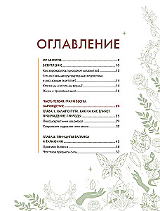 Shaman Tea: A Year in Harmony with Nature. A Book About Plants, Their Powers and Applications