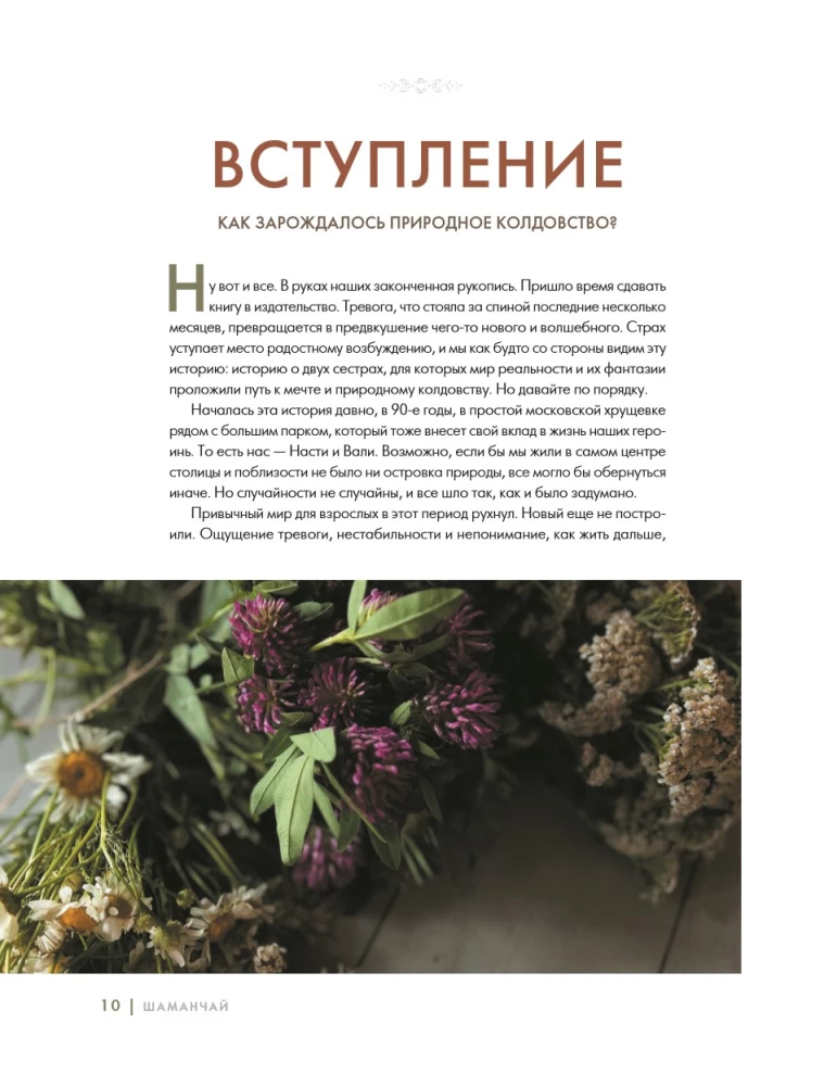 Shaman Tea: A Year in Harmony with Nature. A Book About Plants, Their Powers and Applications