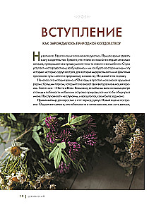 Shaman Tea: A Year in Harmony with Nature. A Book About Plants, Their Powers and Applications