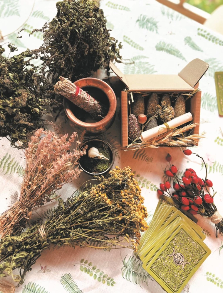 Shaman Tea: A Year in Harmony with Nature. A Book About Plants, Their Powers and Applications