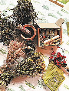 Shaman Tea: A Year in Harmony with Nature. A Book About Plants, Their Powers and Applications