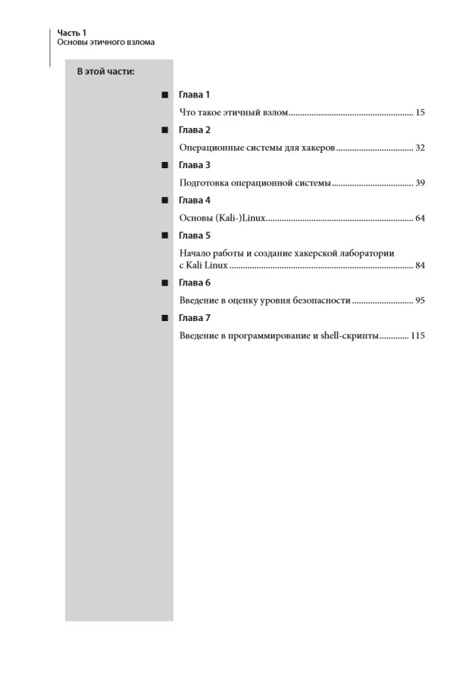 Ethical Hacking. Tools for Penetration Testing and IT Security
