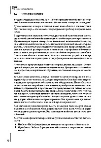 Ethical Hacking. Tools for Penetration Testing and IT Security