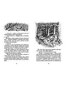 Mały domek w Wielkich Lasach