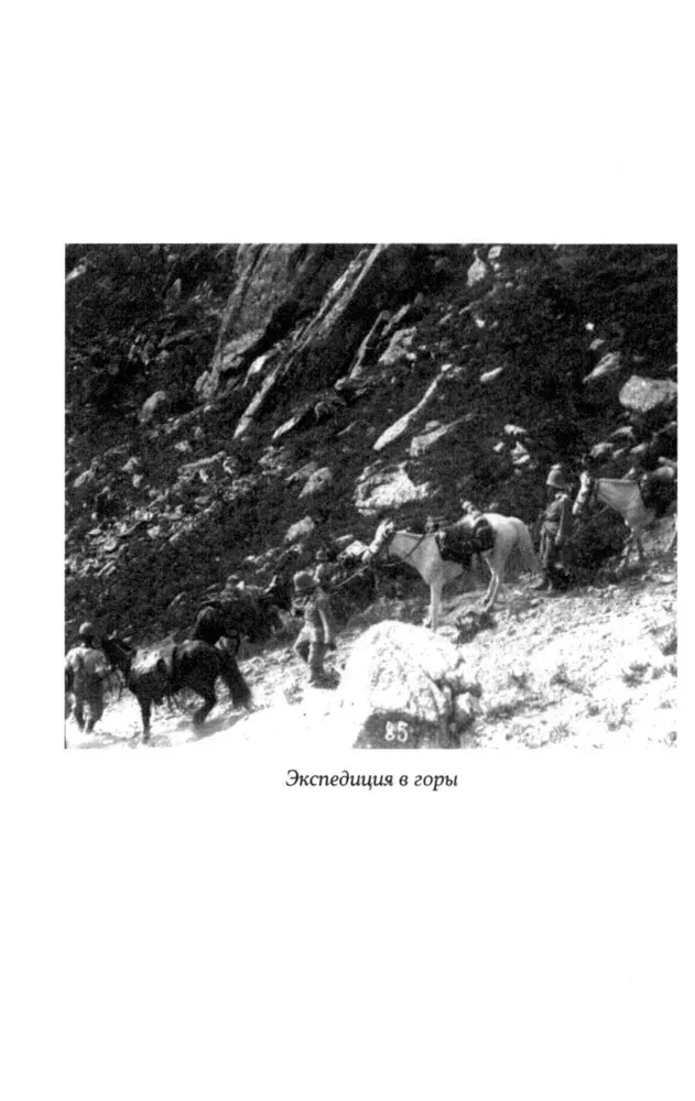 33 ideogramy. Mała chińska książka harmonii i szczęścia