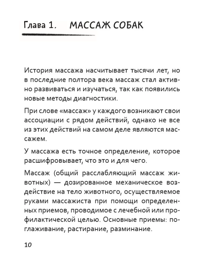 Let's Pet! How to Massage Your Dog