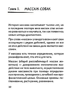 Let's Pet! How to Massage Your Dog