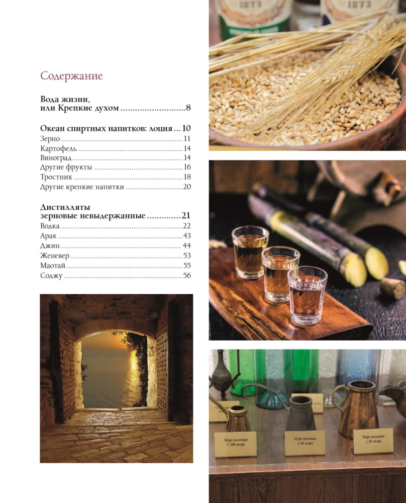 Alcohol with a Masculine Character: A Complete Guide to the World of Strong Drinks