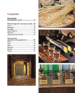 Alcohol with a Masculine Character: A Complete Guide to the World of Strong Drinks